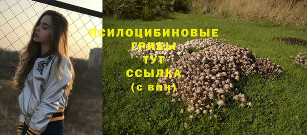 тгк Алексеевка