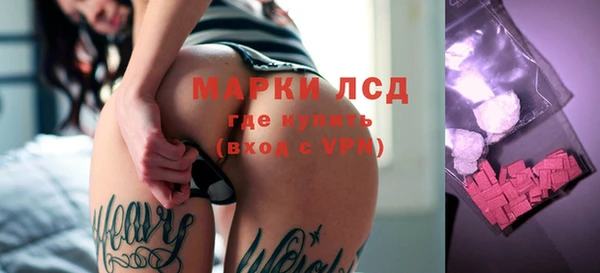 стаф Сясьстрой