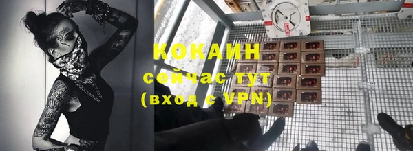 шишки Абинск